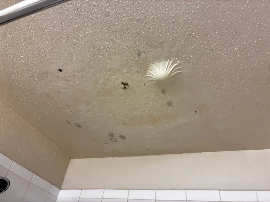 Mold inspection sarasota fl being conducted in a Sarasota Florida home