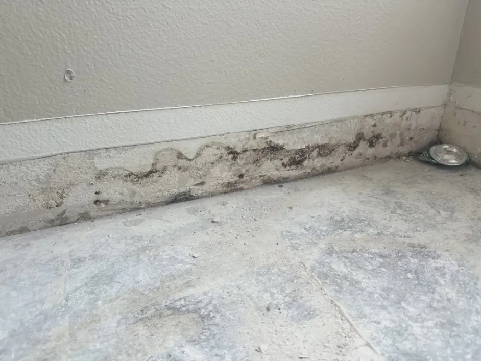 Mold inspection moisture testing in a Sarasota Florida home with thermal imaging equipment