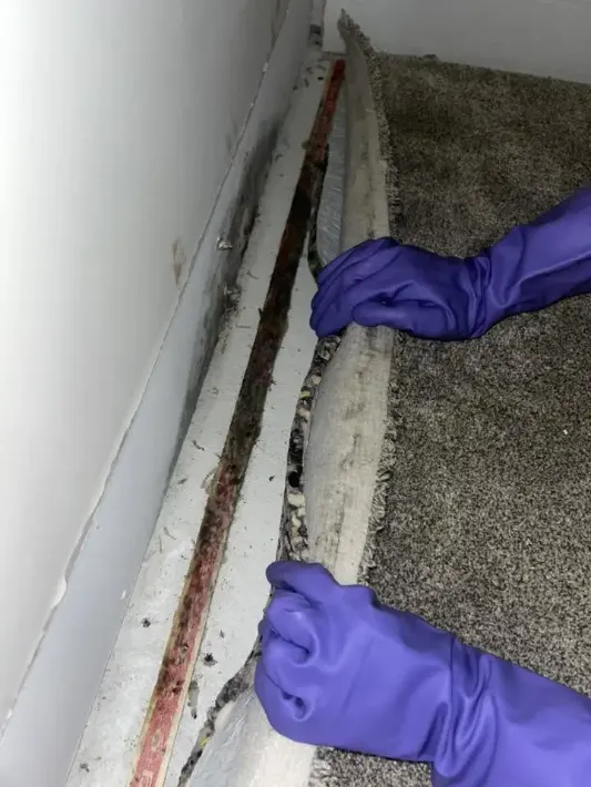 Professional mold air sampling equipment being used in Sarasota Florida residential inspection